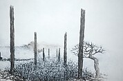 In the Sky, Qiu Anxiong (Chinese, born 1972), Single-channel animated video with sound; 8 min. 17 sec., China